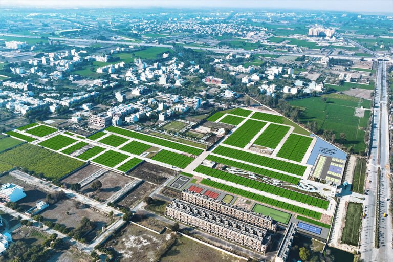 1755153707-1754289796-aerial-plot