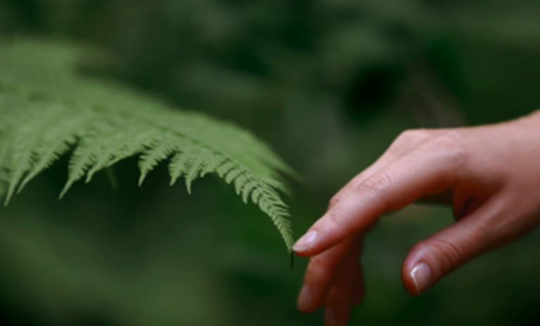 1755153935-1753765129-image-001