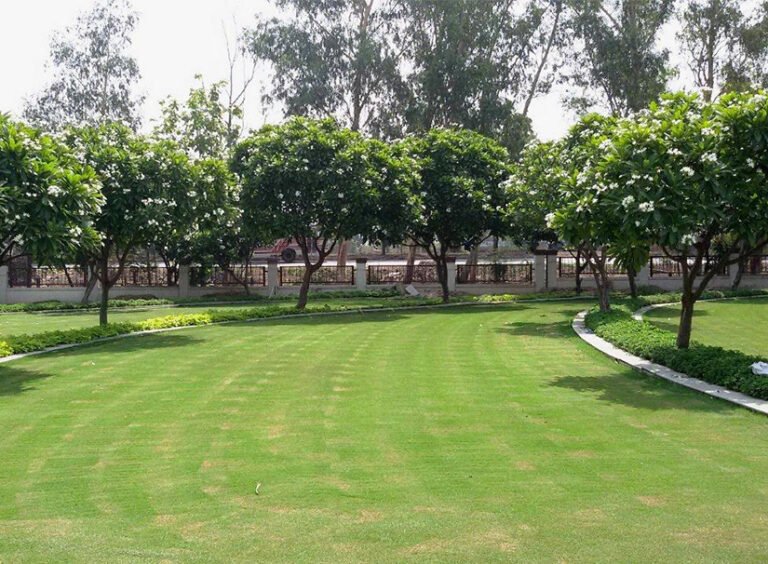 1755154383-1753701911-15928111781054259963