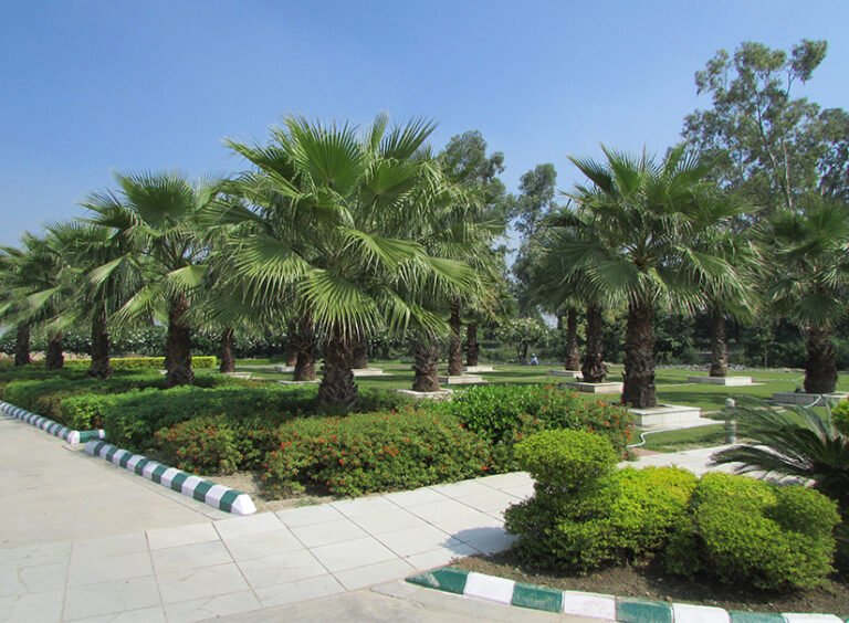 1755154383-1753701911-1592811178317683103